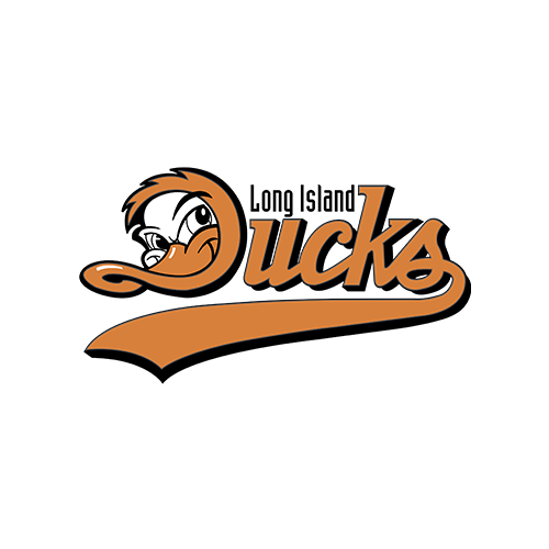 Logo with the word "Ducks" in stylized orange script, incorporating a cartoon duck's face, on a black background.