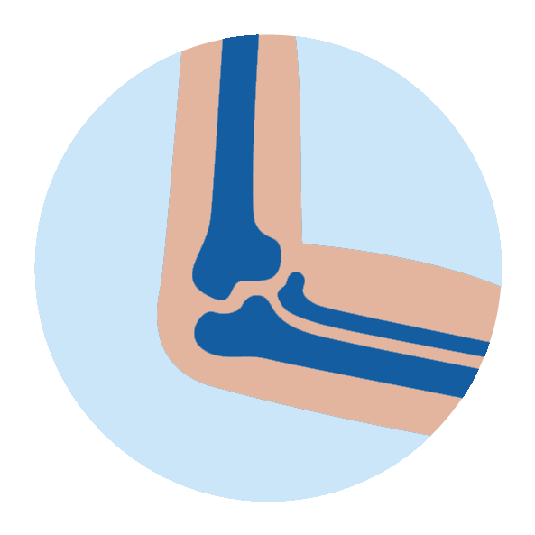 Illustration of a human elbow joint showing the connection of the humerus with the radius and ulna bones against a light blue background.